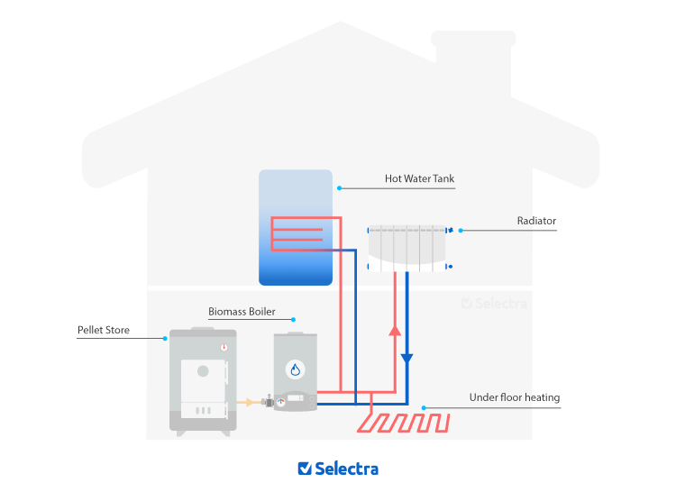 Infographic showing how a biomass boiler system operates