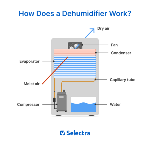 Diagram of a dehumidifier and how it removes moisture from the air